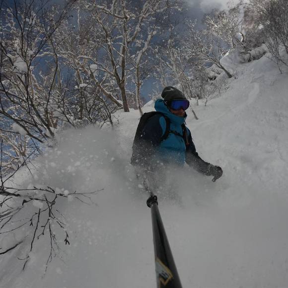 Meet your Posher, Bart - Picture 1 of 1